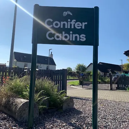 Conifer Apartment *