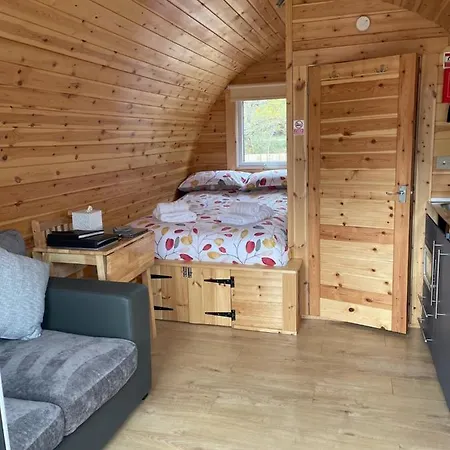 Conifer Fort William