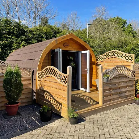 Conifer Apartment *