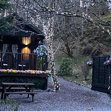 Bluebell Chalet