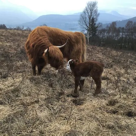 Carnach * Fort William