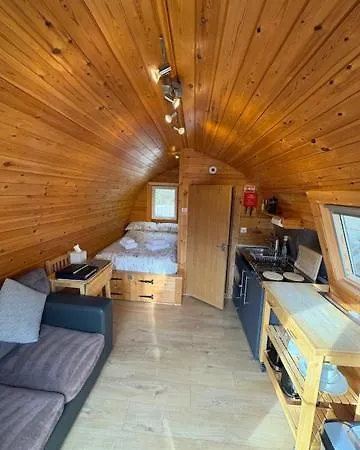 Conifer Fort William