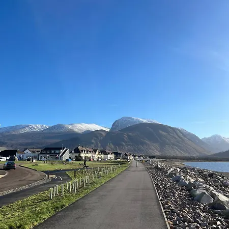 Conifer * Fort William
