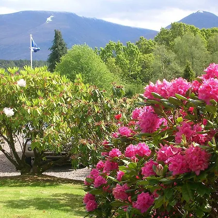 Bed & Breakfast Torbeag House *