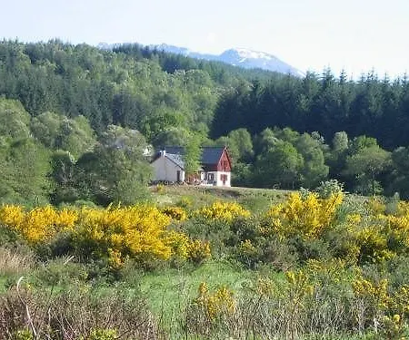 Garadh Buidhe 3*