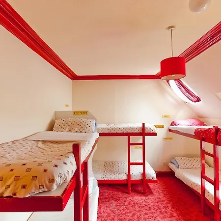 Hostel William Backpackers