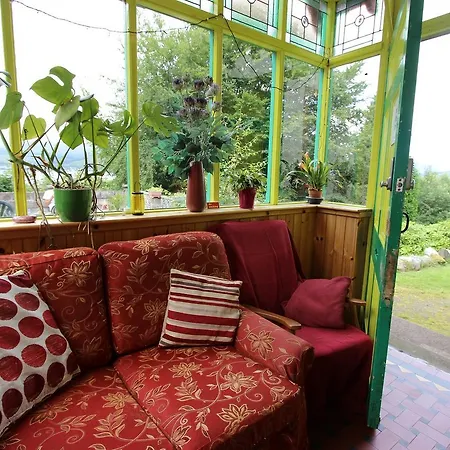 Hostel William Backpackers